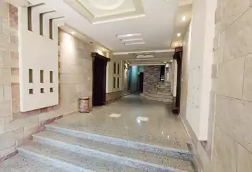 شقق للبيع - 3 غرف - بالدور 1