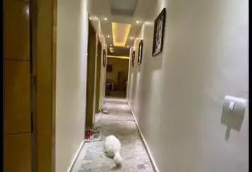 شقق للبيع - 3 غرف - بالدور 0