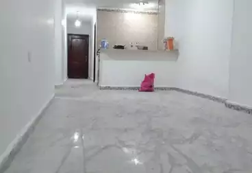 شقق للبيع - 2 غرف - بالدور 1