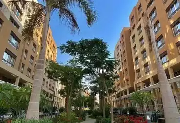 شقق للبيع - 3 غرف - بالدور 1