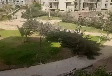 شقق للبيع - 2 غرف - بالدور 1