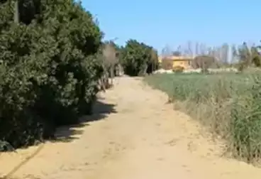 Residential Land For sale
