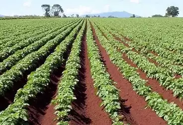 Farm For sale