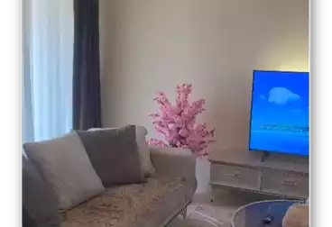 Furnished Apartment For rent - 2 rooms - floor 4