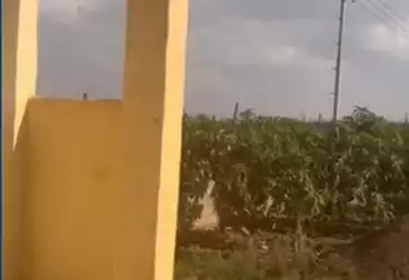 Farm For sale