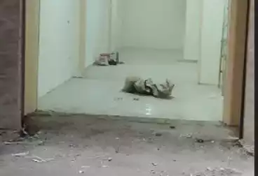 Shops For rent - floor 0