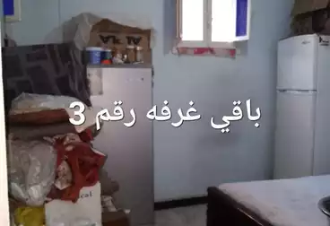 شقق للبيع - 3 غرف - بالدور 5