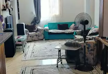 شقق للبيع - 2 غرف - بالدور 11