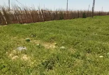 Farm For sale