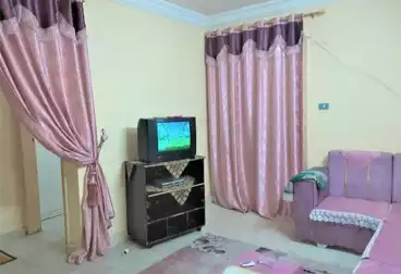 شقق مفروشة للإيجار - 1 غرف - بالدور 2