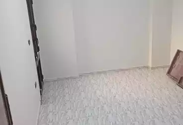 undefined undefined - 2 rooms - floor 1