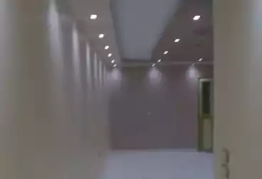 Apartments For rent - 3 rooms - floor 5