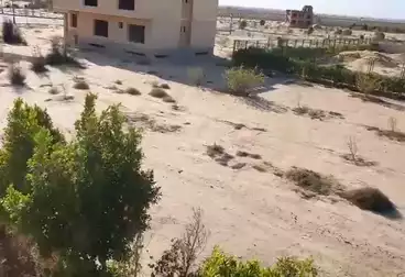 أرض مباني سكنية للبيع