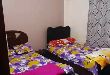 شقق مفروشة للإيجار - 3 غرف - بالدور 2