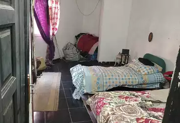 Apartments For sale - 3 rooms - floor 1