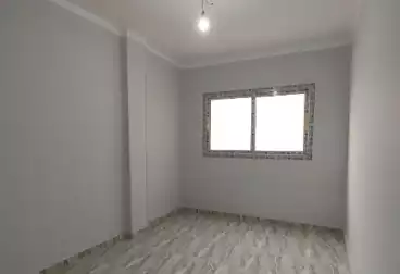 عقارات للإيجار - 3 غرف - بالدور 6