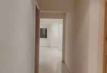 شقق للإيجار - 3 غرف - بالدور 2