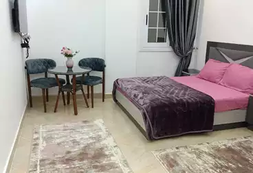 Furnished Apartment For rent - 1 rooms - floor 1