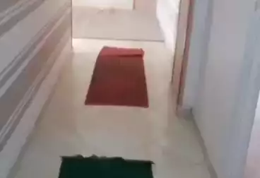 Apartments For rent - 3 rooms - floor 8