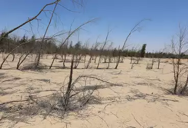 Residential Land For sale