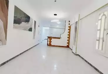 شقق للبيع - 2 غرف - بالدور 1