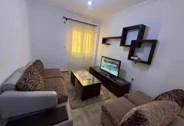 Furnished Apartment For rent - 2 rooms - floor 3