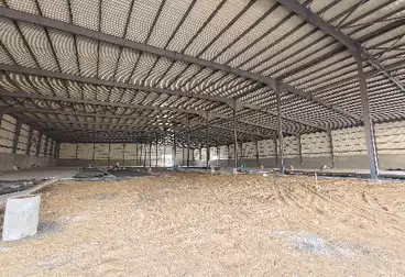 تجاري للإيجار