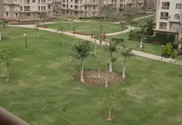 شقق للإيجار - 3 غرف - بالدور 6