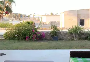 شاليهات للبيع - 2 غرف - بالدور 1