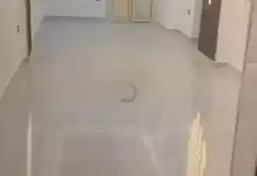 Apartments For sale - 3 rooms - floor 10