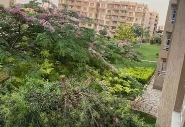 Apartments For sale - 3 rooms - floor 1