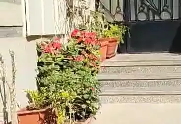 Apartments For sale - 3 rooms - floor 9
