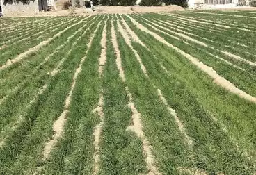 Farm For sale