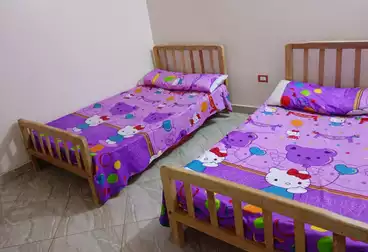 شقق مفروشة للإيجار - 3 غرف - بالدور 0