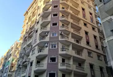 شقق للبيع - 3 غرف - بالدور 3