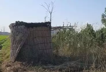 Farm For sale