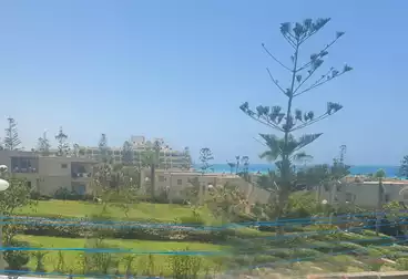 عقارات للبيع - 2 غرف - بالدور 1