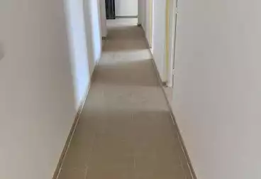 عقارات للإيجار - 3 غرف - بالدور 5