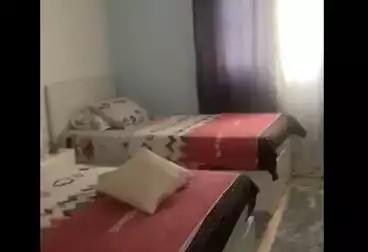 شقق للإيجار - 3 غرف - بالدور 2