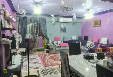 شقق للبيع - 3 غرف - بالدور 7