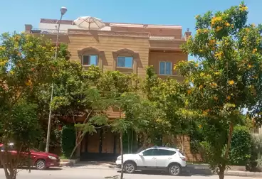 عقارات للبيع - 3 غرف - بالدور 1