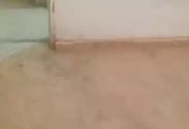 شقق للبيع - 3 غرف - بالدور 3