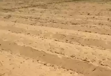 Farm For sale