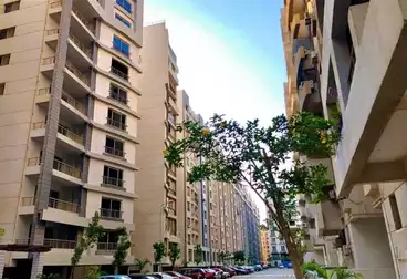 undefined undefined - 3 rooms - floor 11