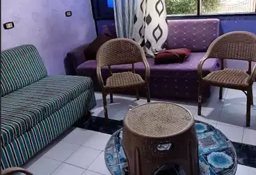 عقارات للإيجار - 1 غرف - بالدور 1