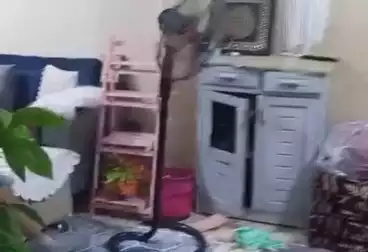 undefined undefined - 2 rooms - floor 1