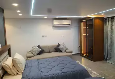 عقارات للإيجار - 1 غرف - بالدور 5