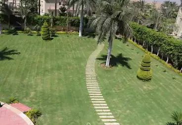 أرض زراعية للبيع