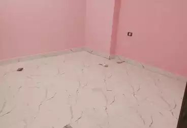 Properties For rent - 3 rooms - floor 1