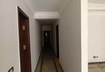 عقارات للإيجار - 3 غرف - بالدور 0